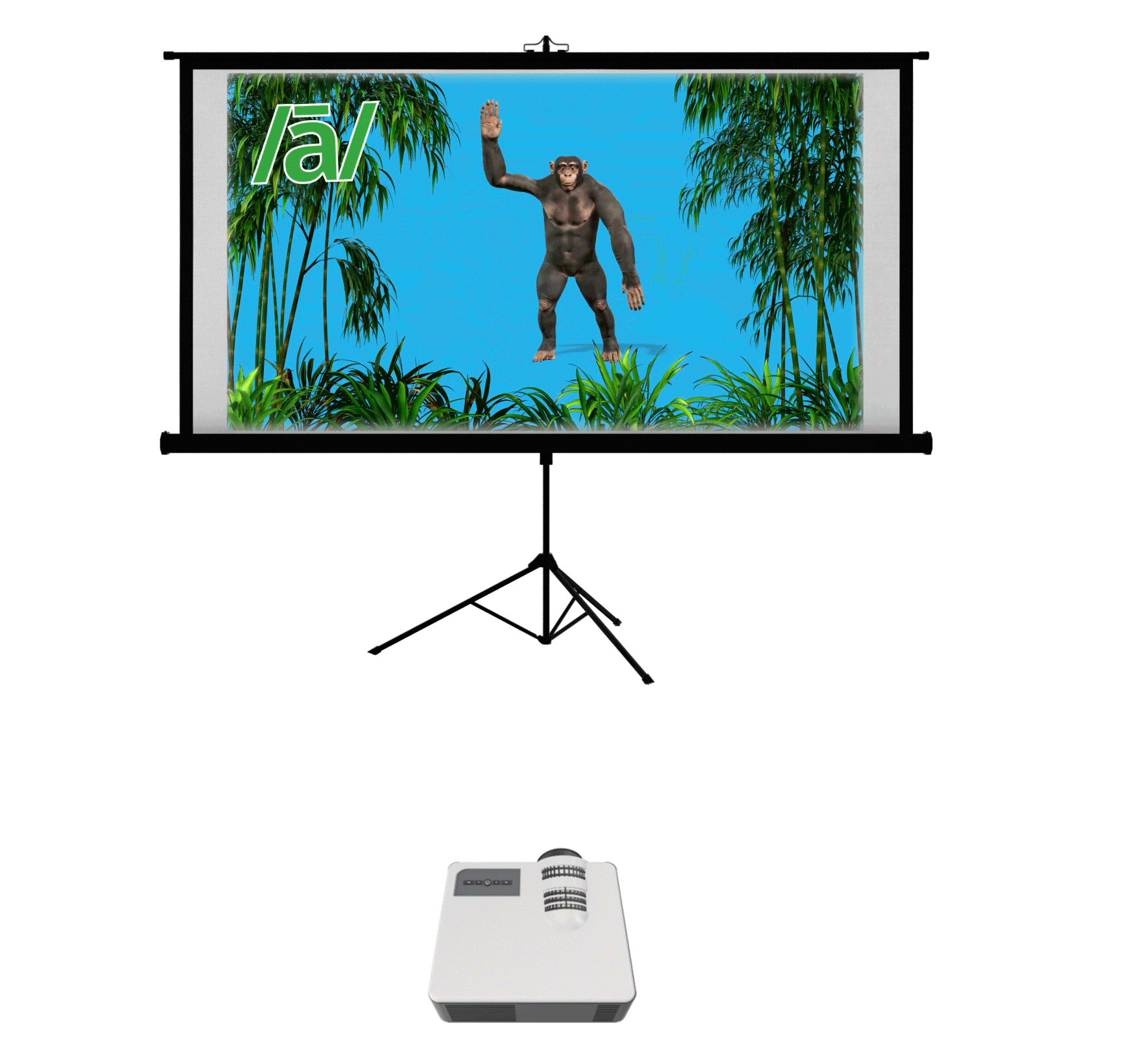 K2theL-Video-Resource.gif
