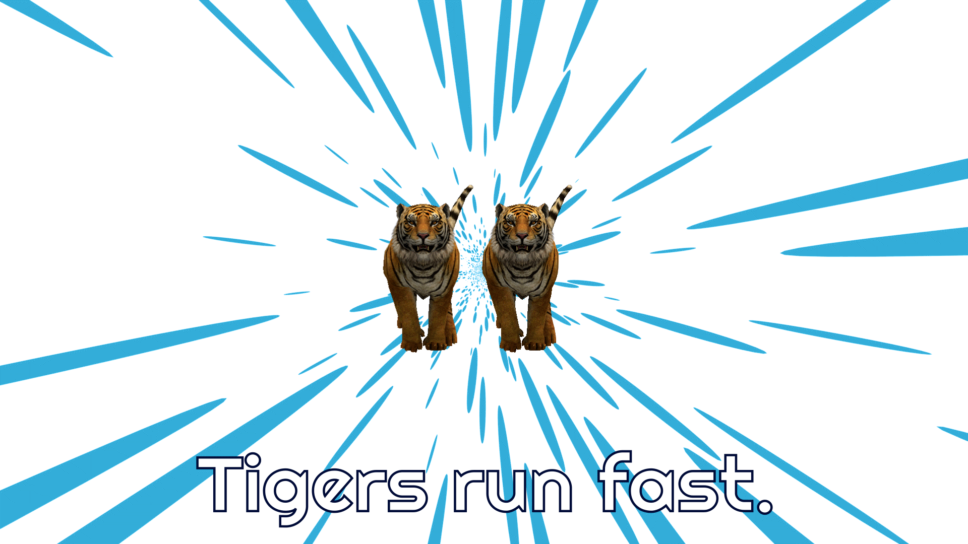 Tigers-run-fast-animiated-example.gif