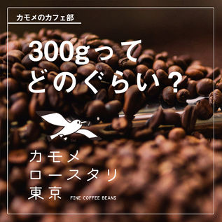 焙煎コーヒー豆 300gってどのぐらい?