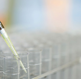 Test Tubes