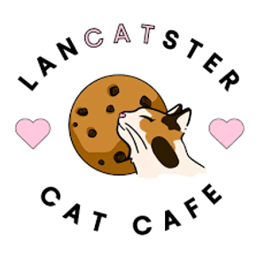 222 N Duke St, Lancaster, PA 17602, USA