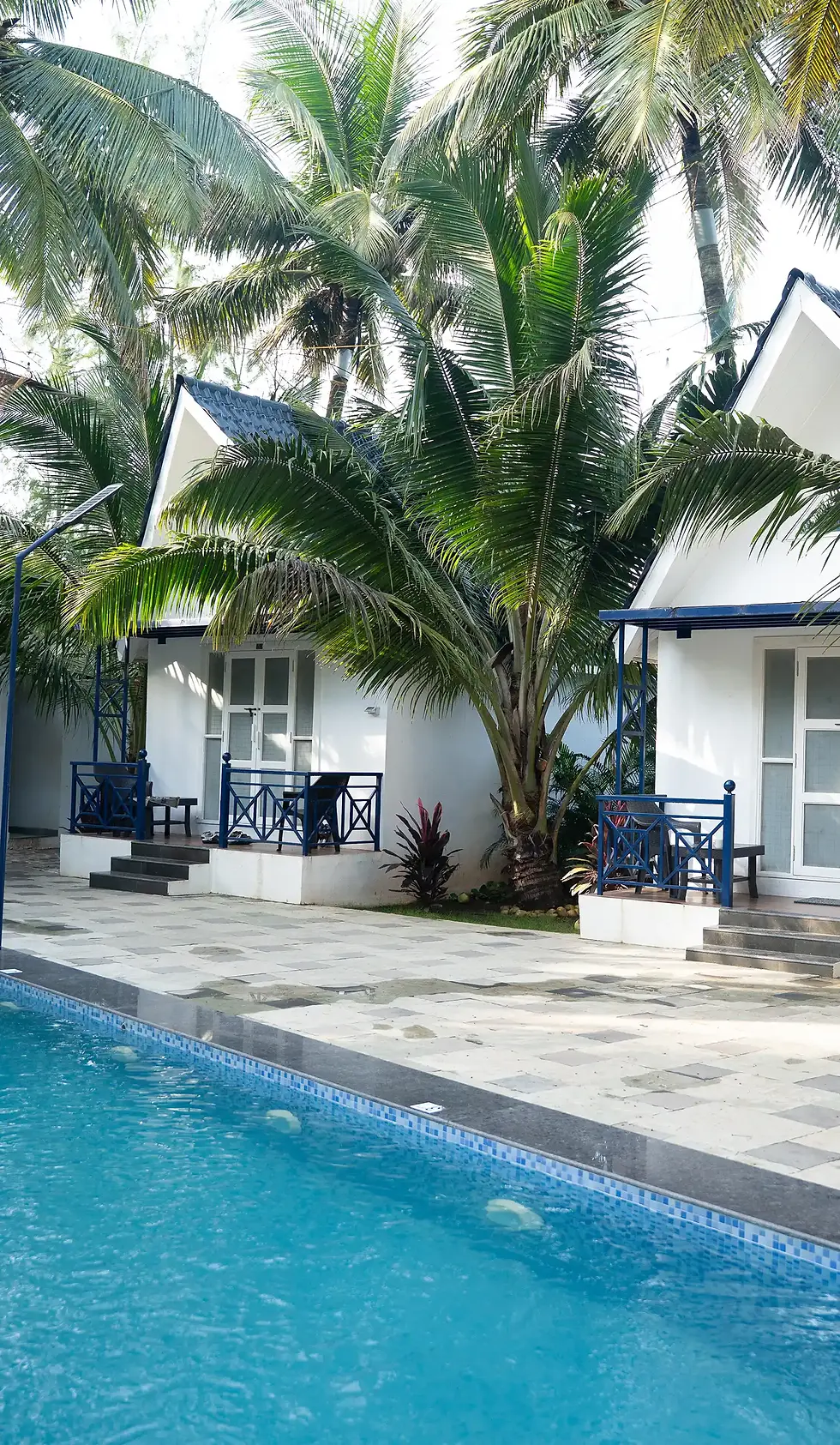 Duplex Casa.webp