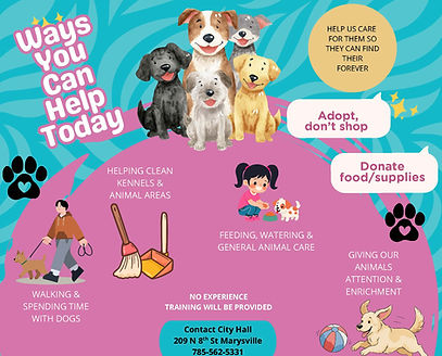 04 Ways You Can Help Today (8).jpg
