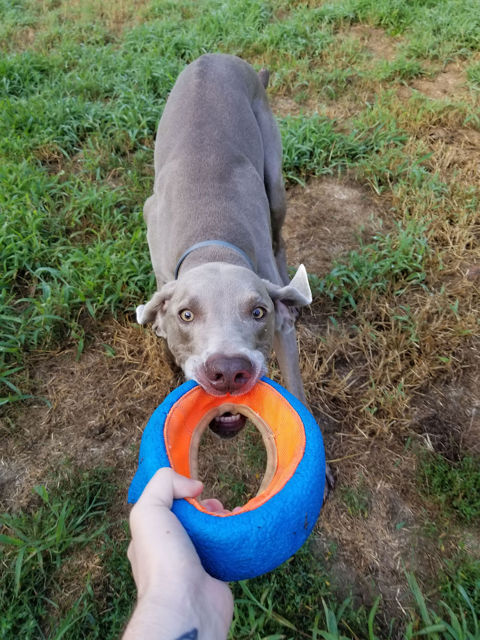 Jax