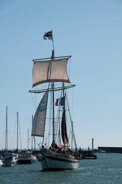 DSC_7591.jpg