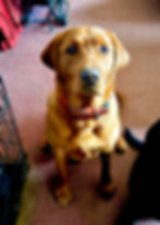 419227510_373766188628083_7288656658762375419_n