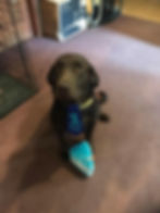 429913679_711474801067994_4765019564709618331_n