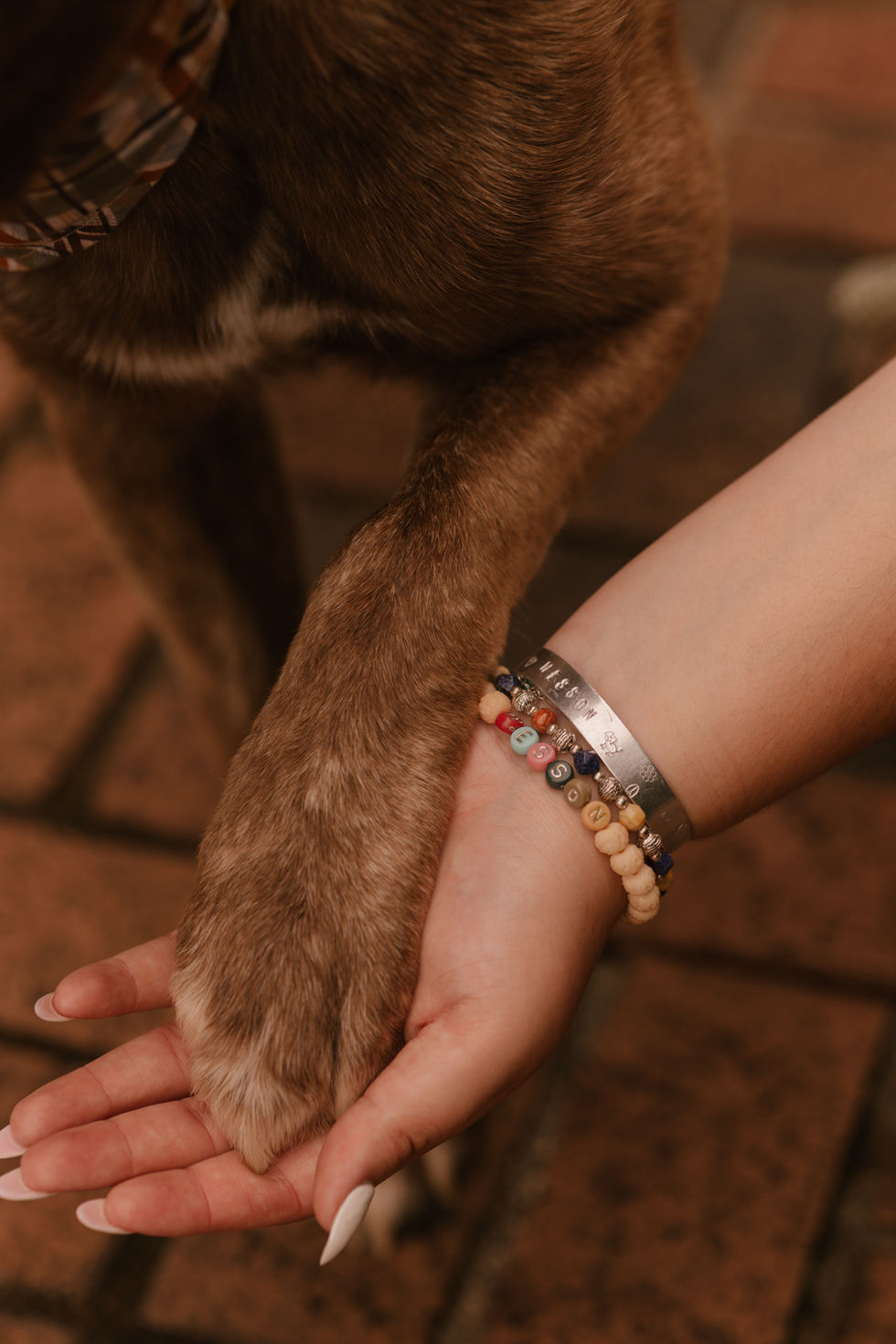 Summer+Pups!-64