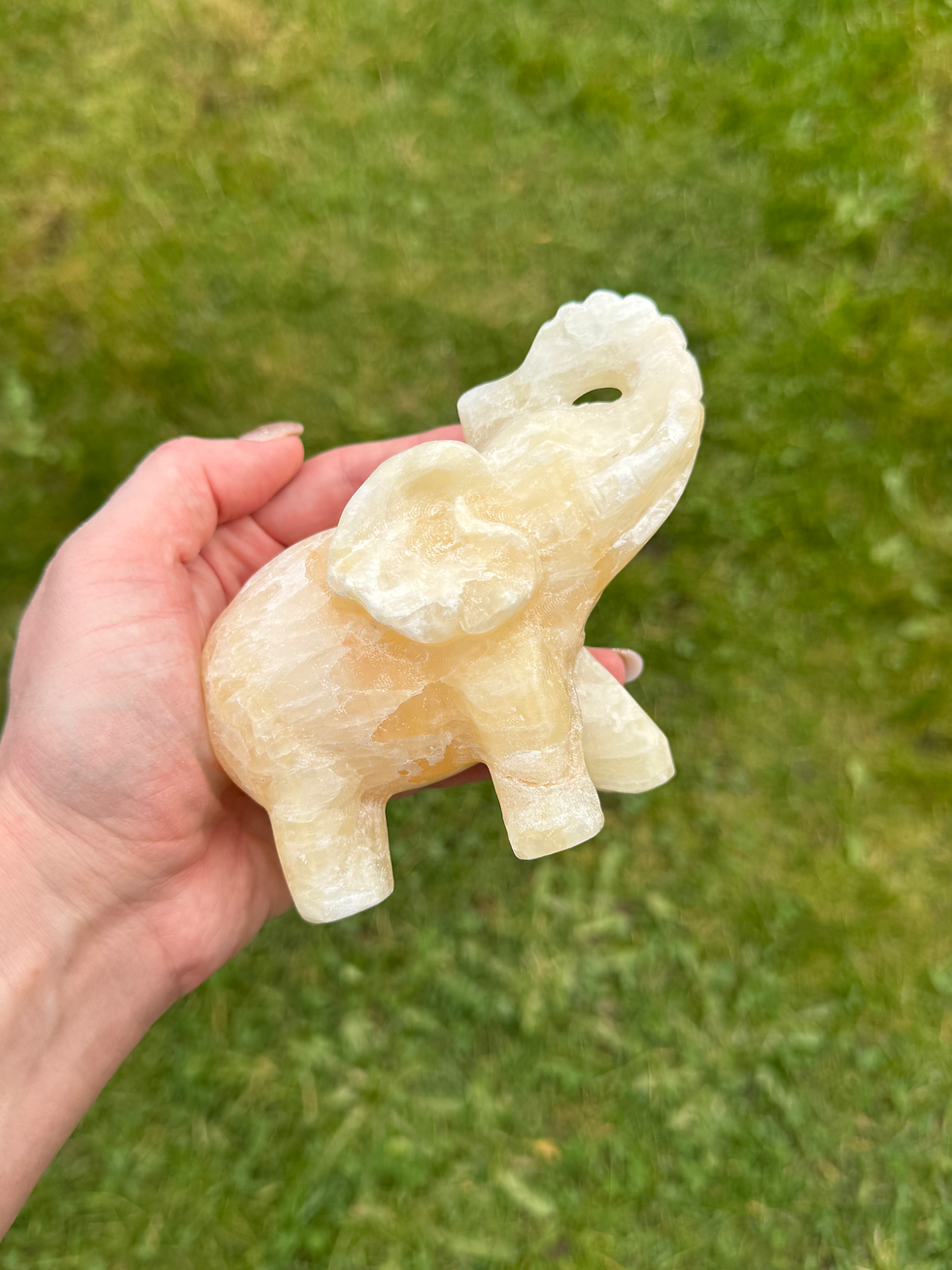 Thumbnail: Orange calcite elephant carvings