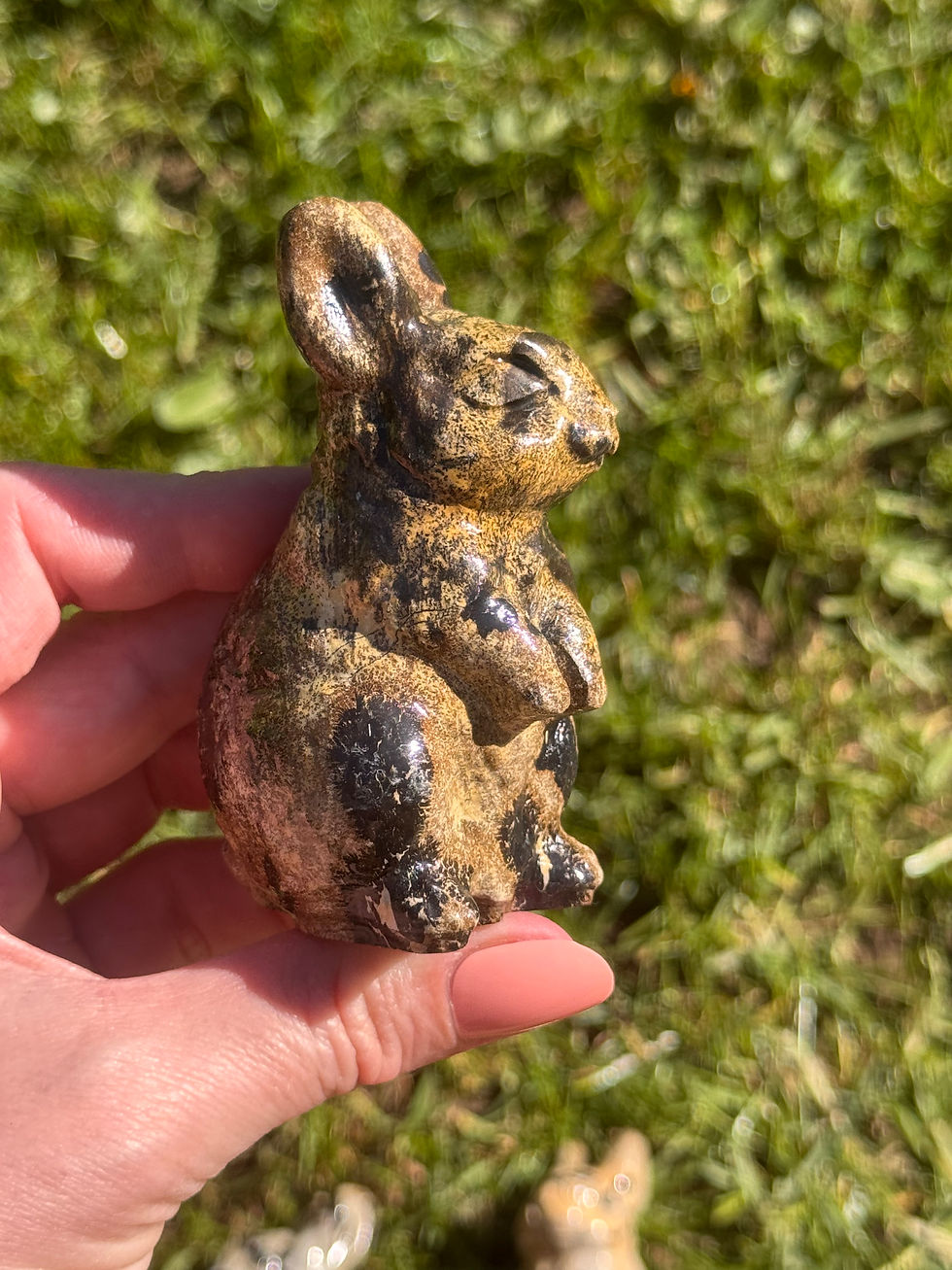 Thumbnail: Picasso Jasper bunny Rabbits