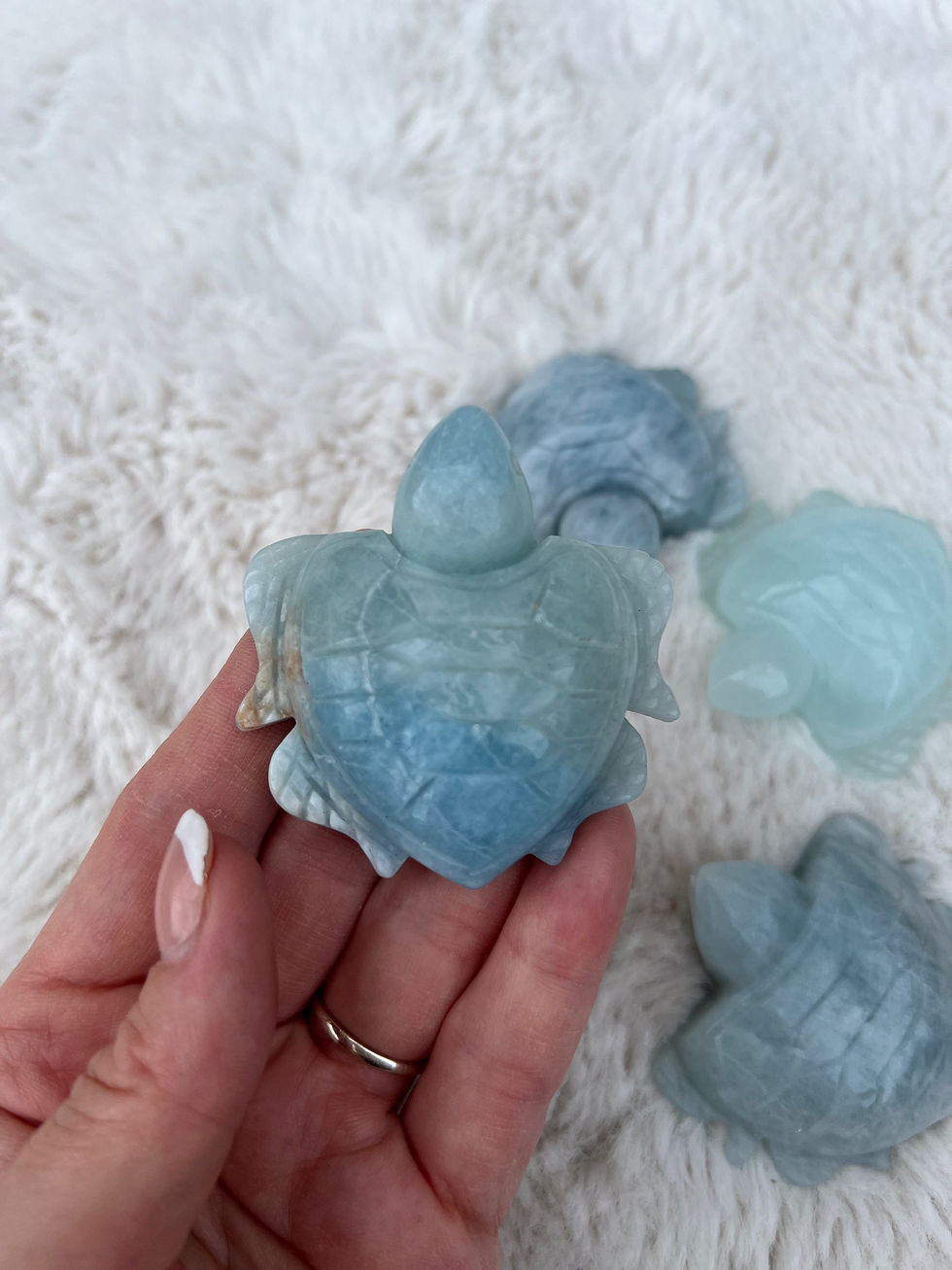 Thumbnail: Aquamarine sea turtle