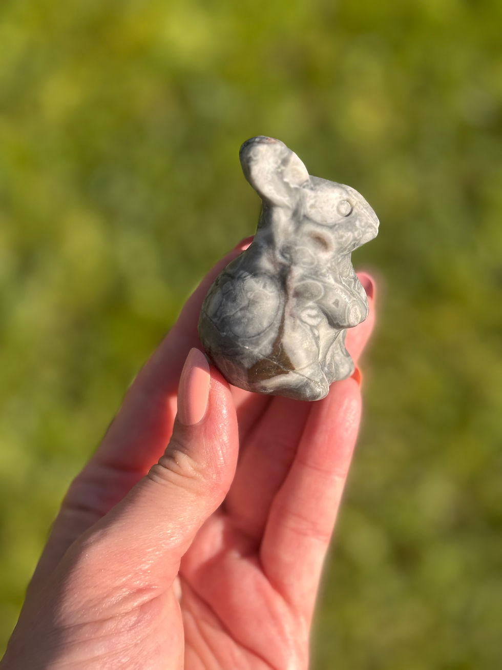 Thumbnail: Grey Picture Jasper bunny rabbits