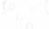 White Logo.png