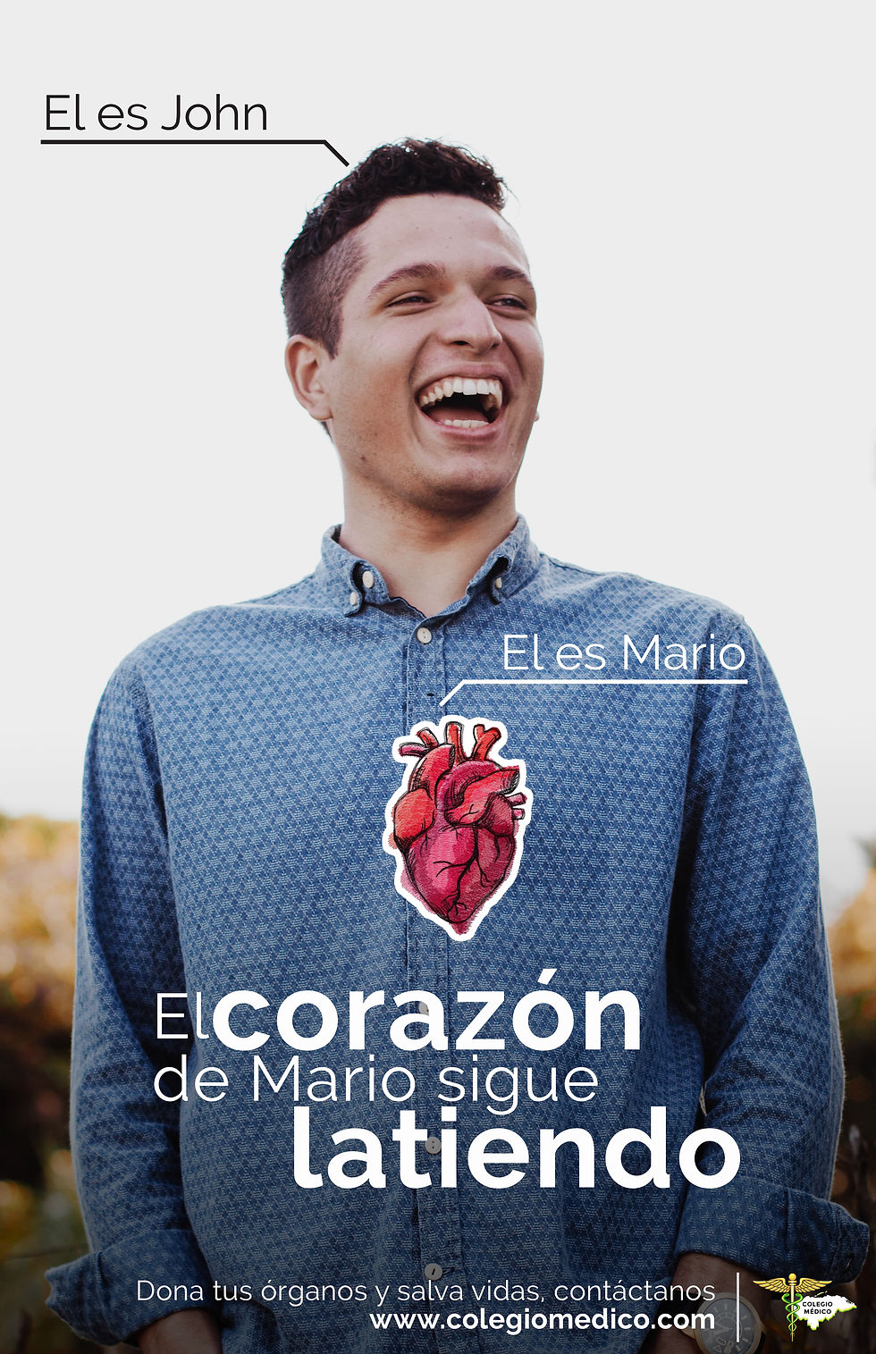 Donación de Órganos