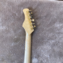 Natural Mystic (Rasta Lion) - Woodruff Brothers Custom Guitars