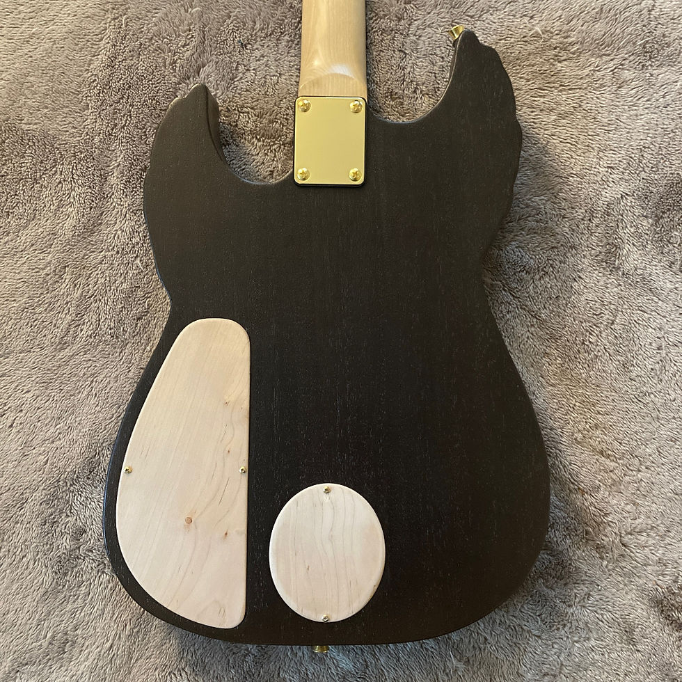 Thumbnail: Birdsong Wolf Custom Guitar