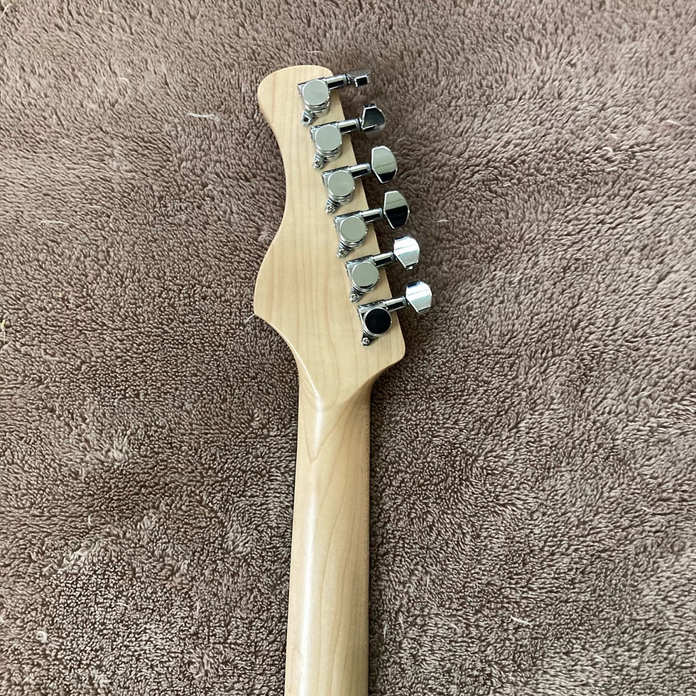 Thumbnail: STARDUST - Message Tree TELE Guitar