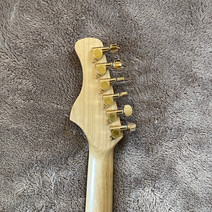 Widespread Panic Fish - Woodruff Brothers Custom Guitars