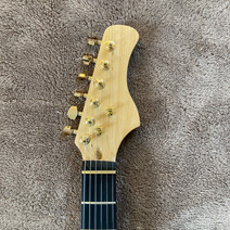 Widespread Panic Fish - Woodruff Brothers Custom Guitars