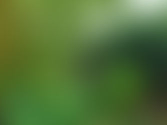 Un été qui fini dans le vert