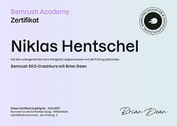 Semrush SEO Crashkurs Zertifikat Niklas Hentschel