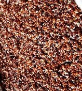 An easy way for a mother to provide iron and calcium to her children