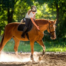 Équitation touraine loire valley