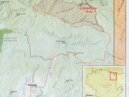 Valentine Fire Information and Meeting