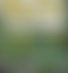 Alban Eilir Ritual - 2026