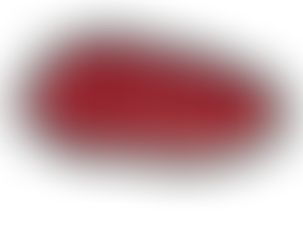 BuntsMatch Reimagined – Connecting Bunt Families Worldwide