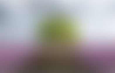 האם החיים מתנהלים לפי גורל קבוע מראש, או שיש בהם מקריות ובחירה חופשית?