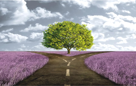 האם החיים מתנהלים לפי גורל קבוע מראש, או שיש בהם מקריות ובחירה חופשית?