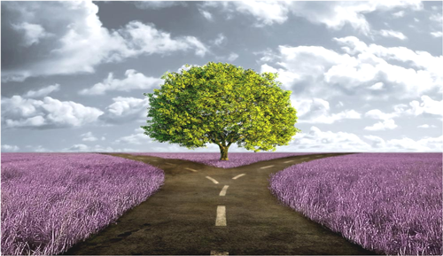 האם החיים מתנהלים לפי גורל קבוע מראש, או שיש בהם מקריות ובחירה חופשית?