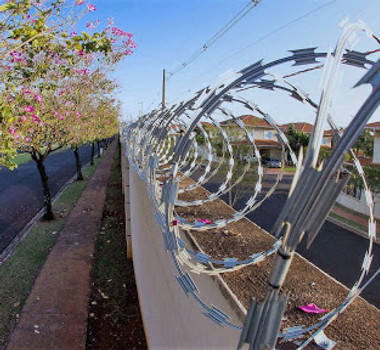 Tubarao concertina.jpg