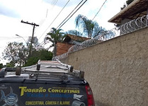 euipe tubarao concertinas.jpg