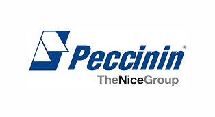 LOGO PICCINIOFICIAL.jpg