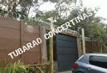 Tubarao concertinas.jpg