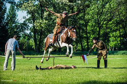 Pokazy Dzień Dziecka