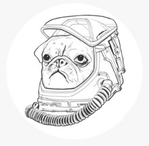 截屏2026-01-13 17.45.52.png