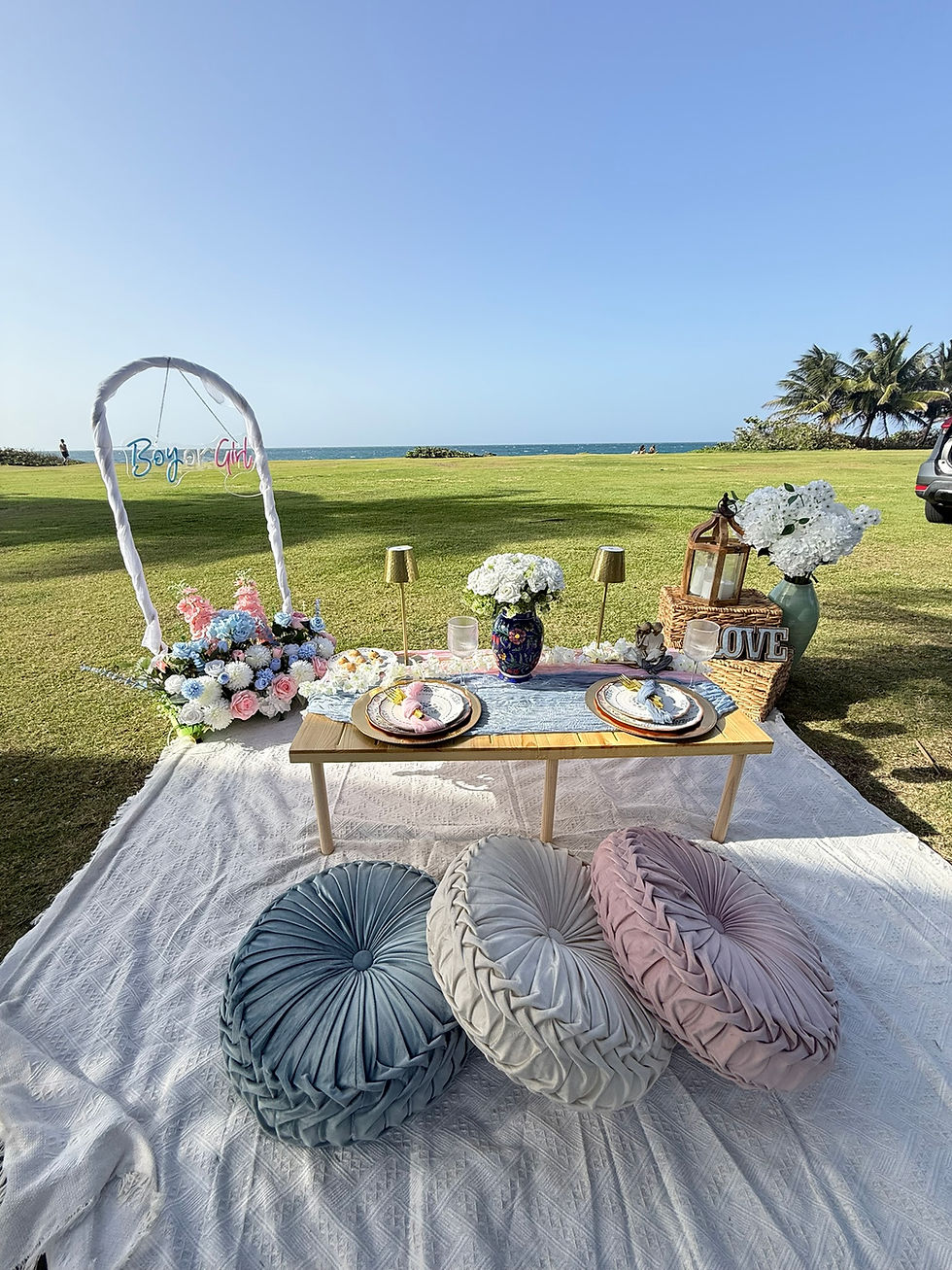 Outdoor custom luxury picnic event types by the ocean