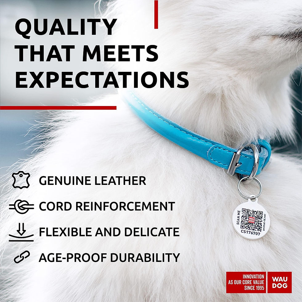 Thumbnail: Ultra Soft Rolled Leather Dog Collar for Small Dogs 8 10 in Neck Padded Dog