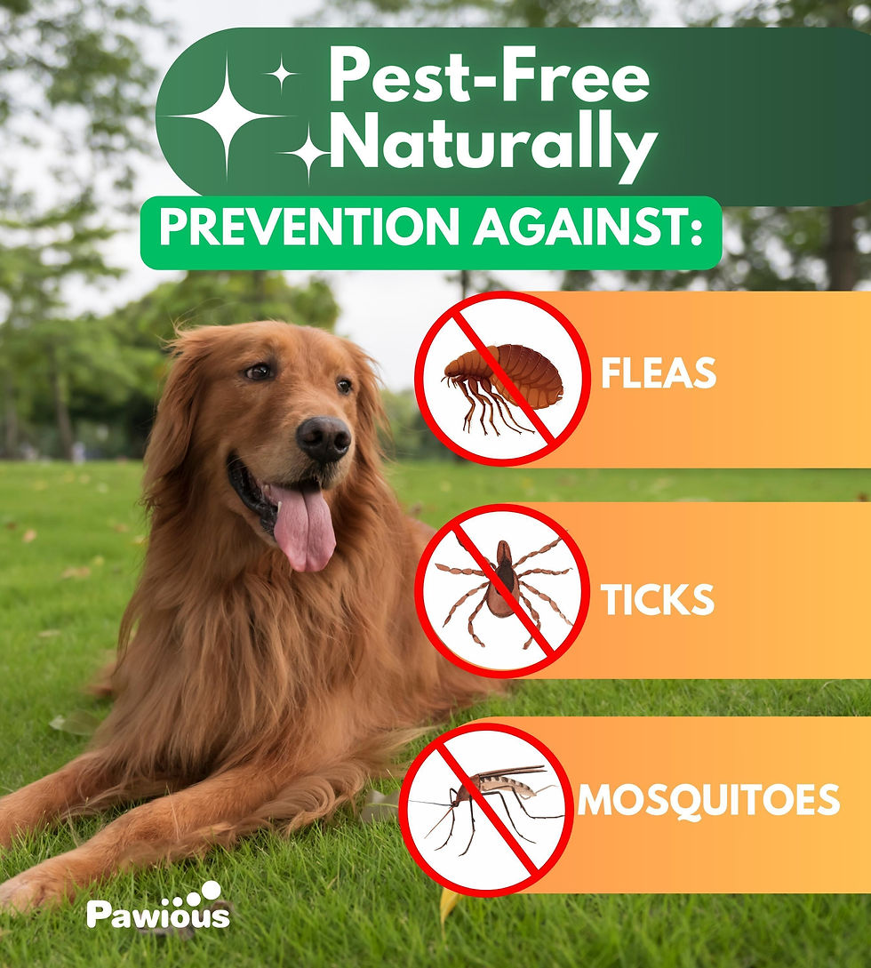 Thumbnail: Parasites Prevention for Dogs Chewables Natural Dog Insects Control 120 Tablets