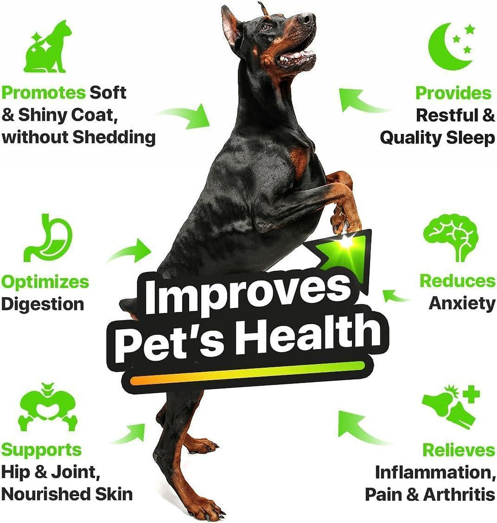 Thumbnail: Hеmp and Salmon Oil for Dogs Skin Coat Hеalth 3 6 9 Omega Calming Treat 1 fl oz