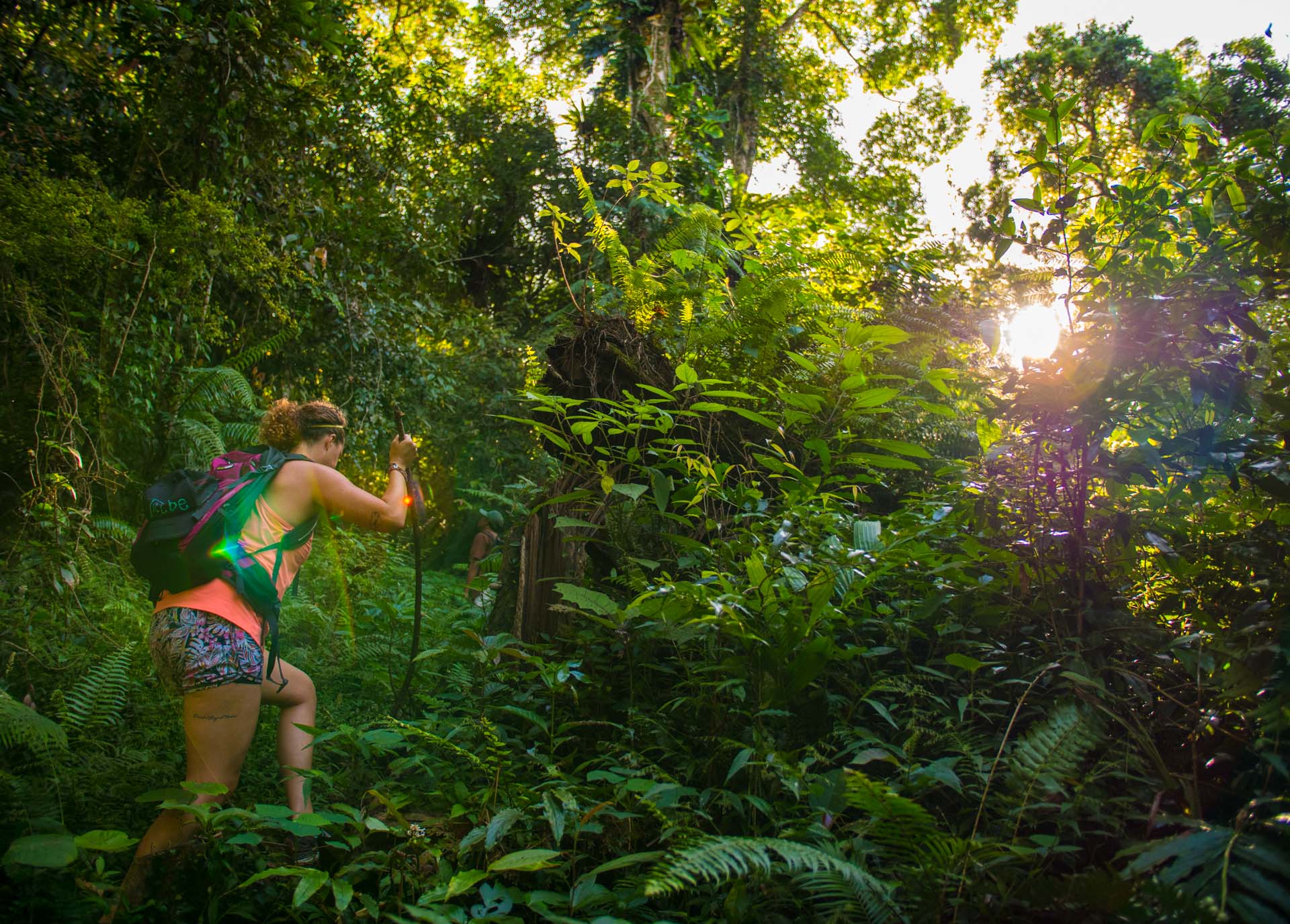 Treks in the Jungle 3-5 hrs with your own local guide