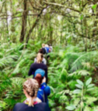 Batukaru Rainforest trek