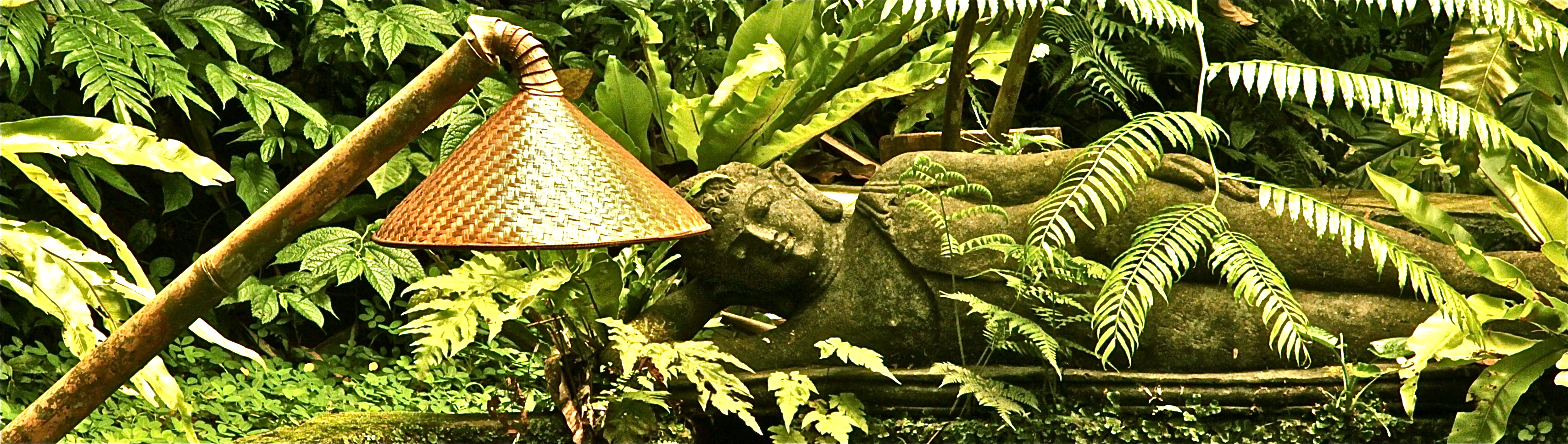 Relax at the Koi Pond