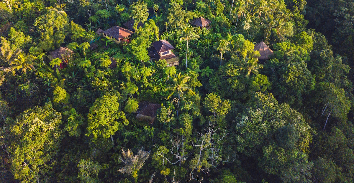 Privacy  Fresh Mountain Air  Abundant Nature