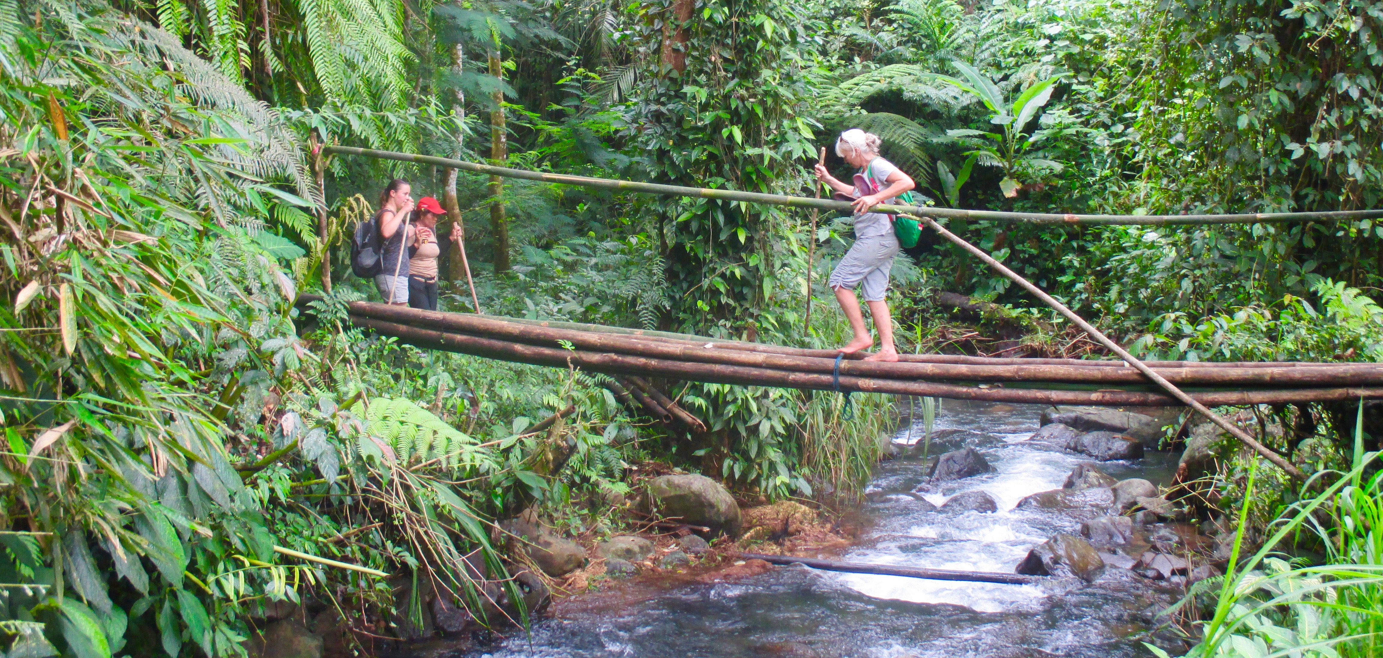 Overland Farm and Forest Treks 3-5 hrs