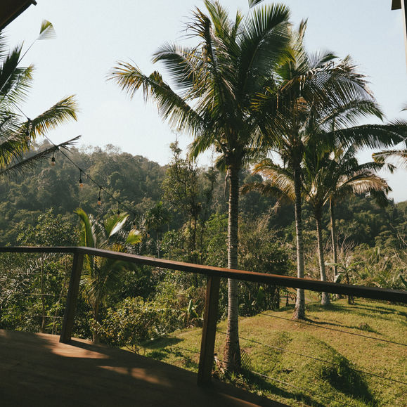 View from an outdoor balcony at Rimbah