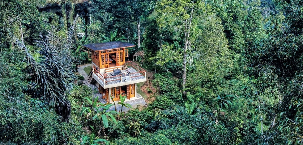 Senanga Rainforest Cabin 2-4 People